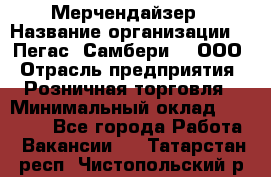 Мерчендайзер › Название организации ­ "Пегас" Самбери-3, ООО › Отрасль предприятия ­ Розничная торговля › Минимальный оклад ­ 23 500 - Все города Работа » Вакансии   . Татарстан респ.,Чистопольский р-н